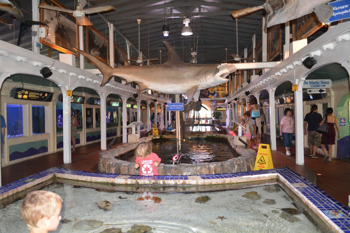 Key West Aquarium where you are up front and personal with sharks