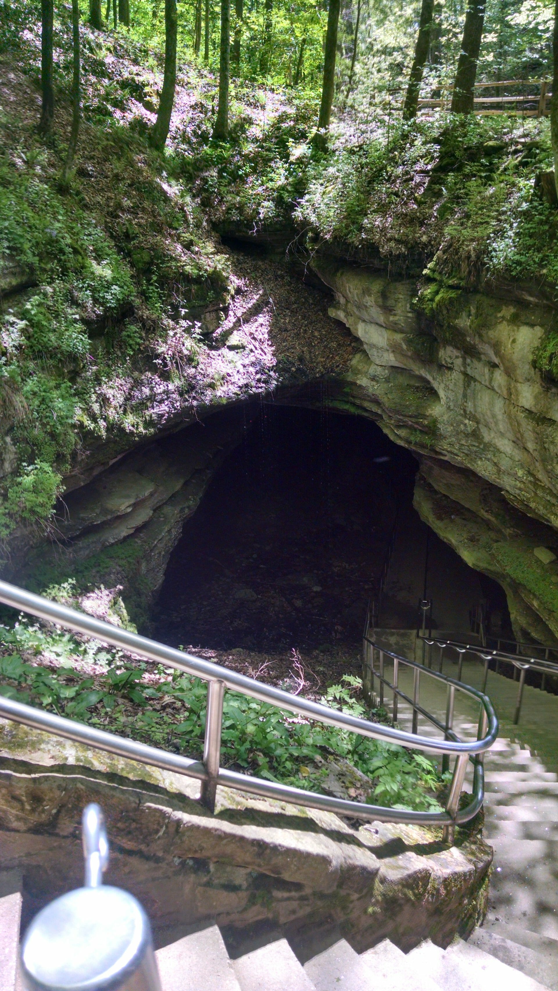 Mammoth Cave Kentucky 5 Things To Do With Your Kids