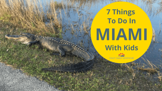 7 Things To Do In Miami With Kids - Crazy Family Adventure
