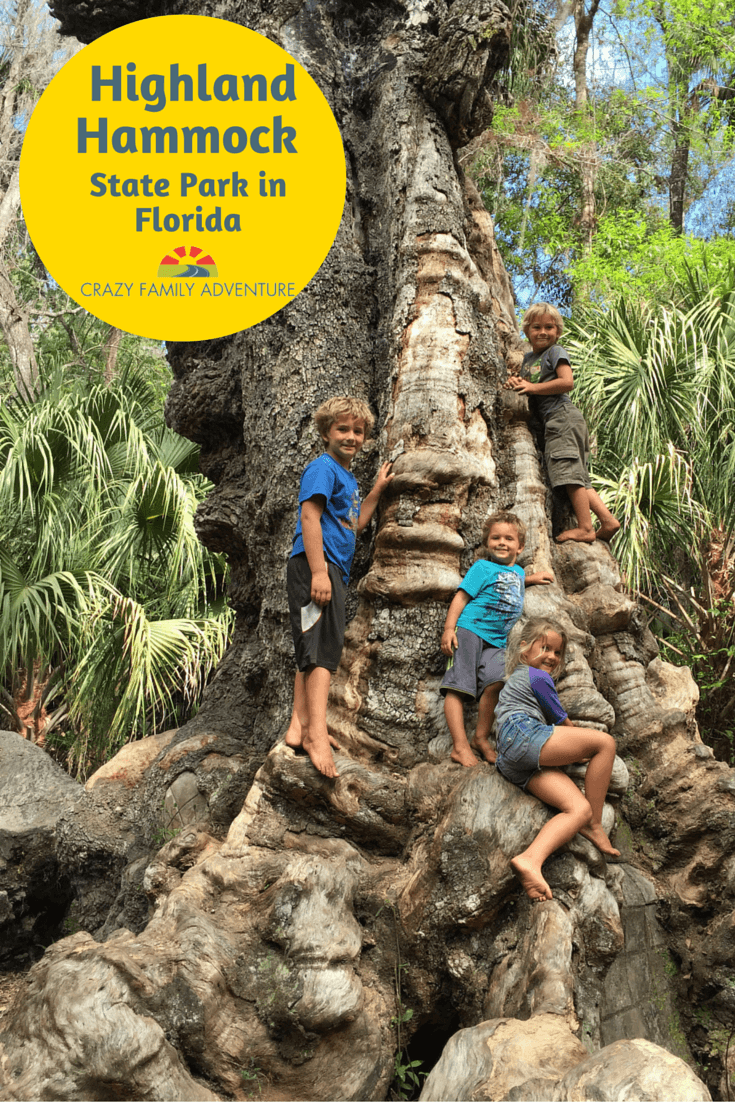 Highland Hammock State Park In Florida Crazy Family Adventure