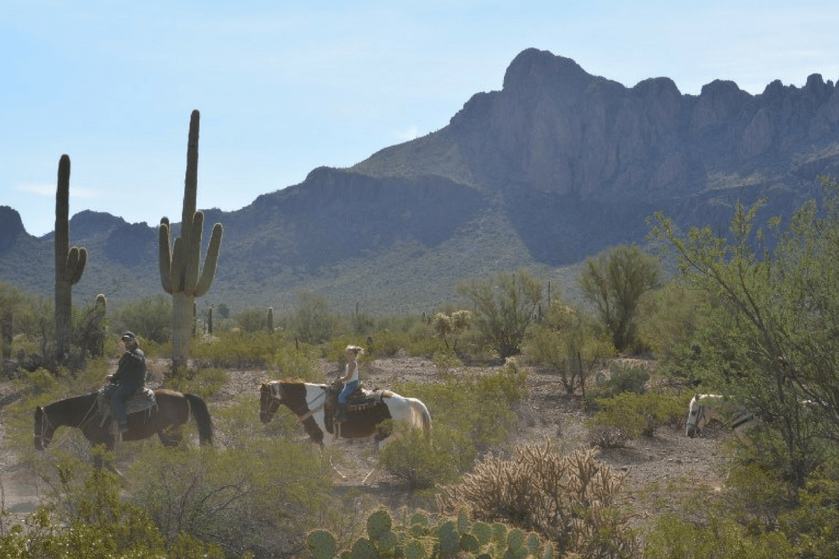 visit tucson things to do